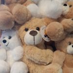 Teddy Bears - Assorted